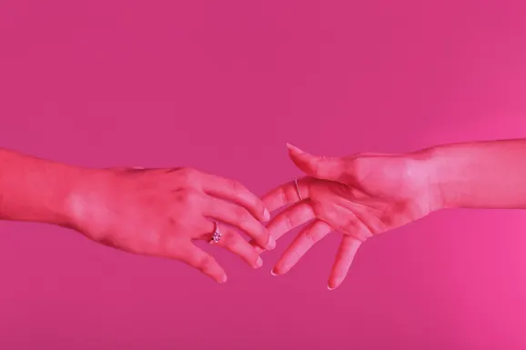 Iwild Kaszinó Támogatás